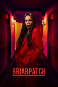 Briarpatch - Season 1